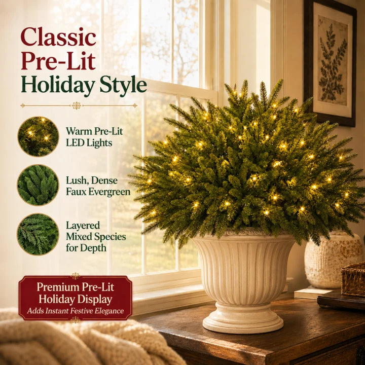 🎄 Enchanted Christmas Evergreen Pine Tree with Twinkling Lights