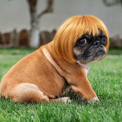 🐶 Funny Pet Wig Headband for Dogs & Cats – Cute Costume Accessory for Photos, Parties & Holidays - Brown