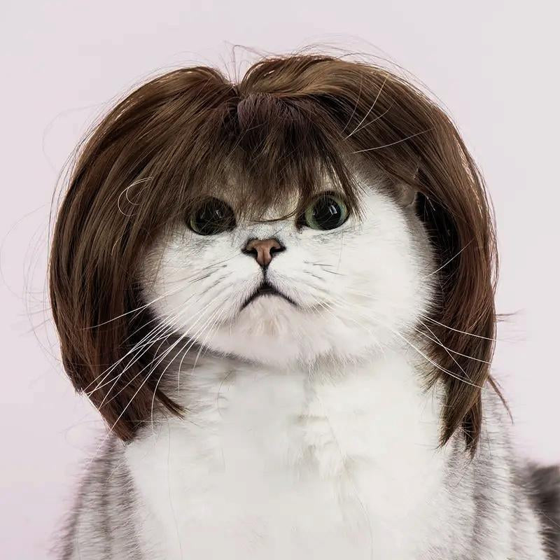 🐶 Funny Pet Wig Headband for Dogs & Cats – Cute Costume Accessory for Photos, Parties & Holidays - Brown