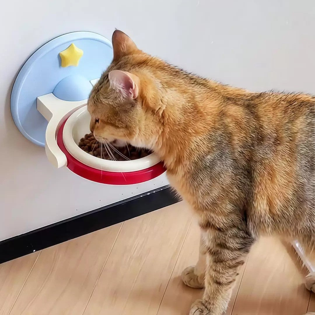 Ergonomic Ceramic Pet Cat Bowl | Premium Dining