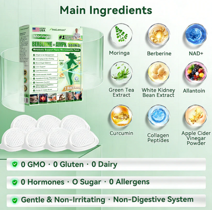 10-in-1 Metabolic Support Nano Microneedle Patchus(Just once a day, visible changes in 7 days)For obesity,OOOSG SKoO,diabetes, sleep apnea, joint issues, and more