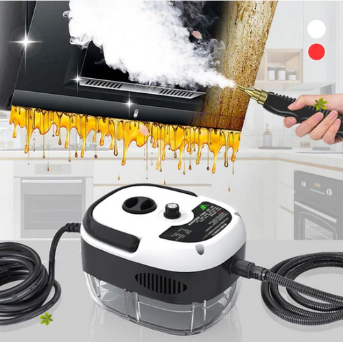 Handheld High-Temperature Pressurized Steam Cleaner